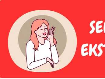 Sensing Ekstrovert